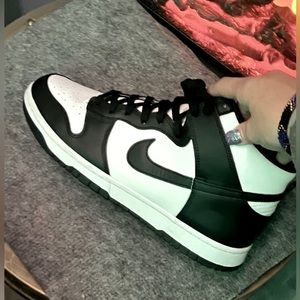 Brand New Nike Dunks high tops NO BOX